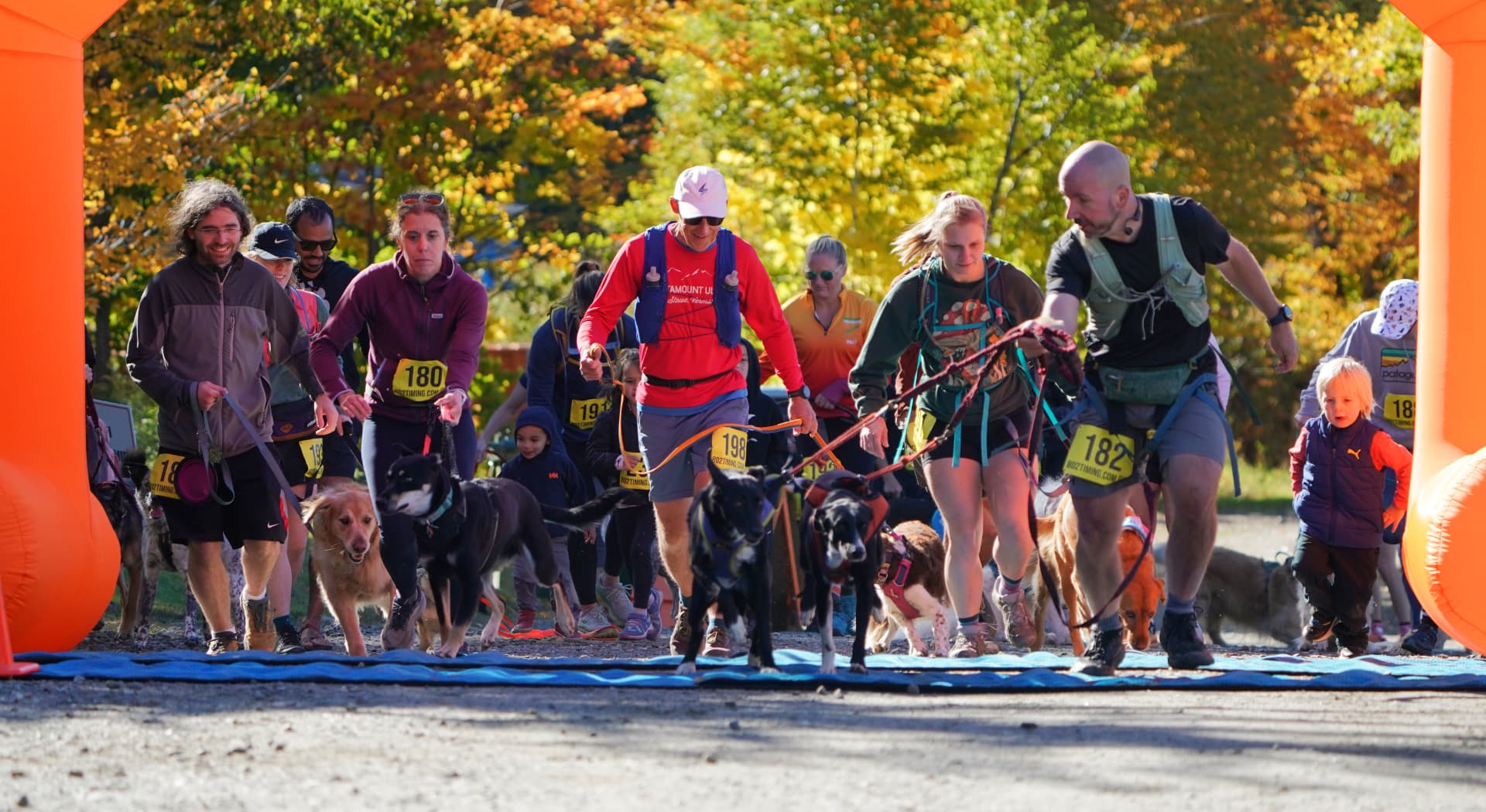 Runners and their dogs crossing the start line under an orange IronPooch arch