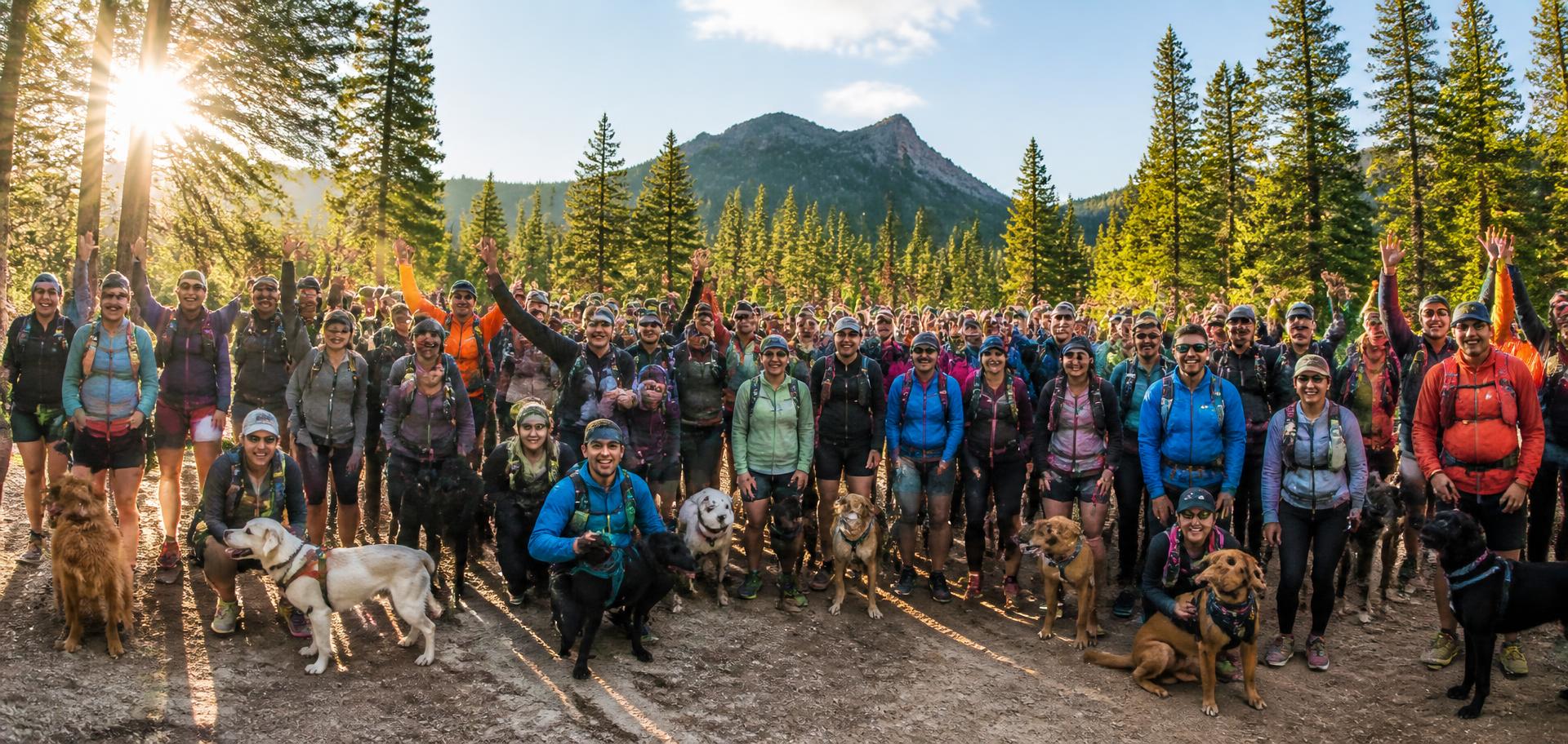 Runners and their dogs gathered at a forest trailhead